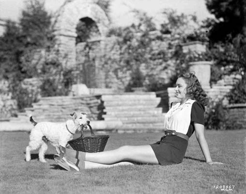 donna reed and asta 1208-67