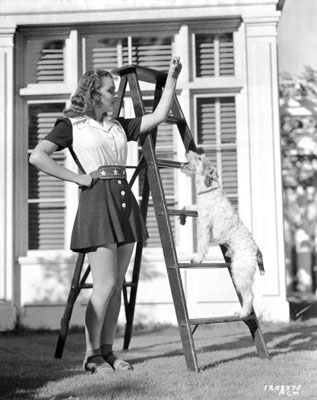 donna reed and asta 1208-70