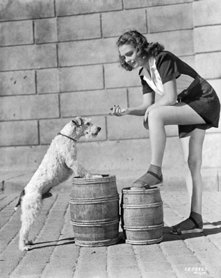 donna reed and asta 1208-63