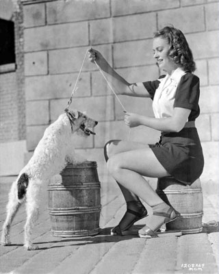 donna reed and asta 1208-64
