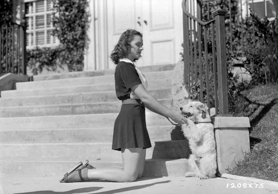 donna reed and asta 1208x75