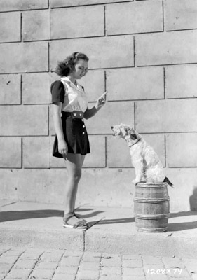 donna reed and asta 1208x79